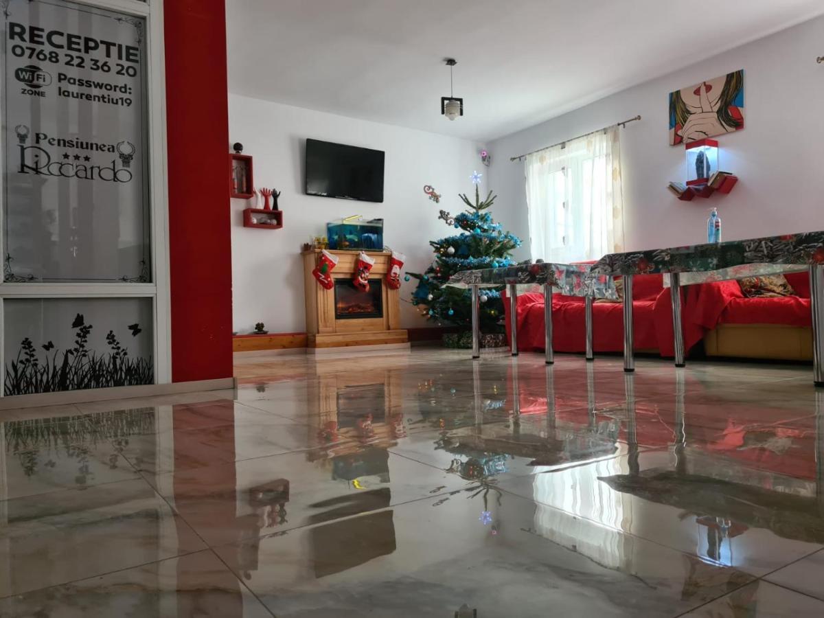 Pensiunea Riccardo Braşov Dış mekan fotoğraf